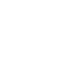 Turtle Digital
